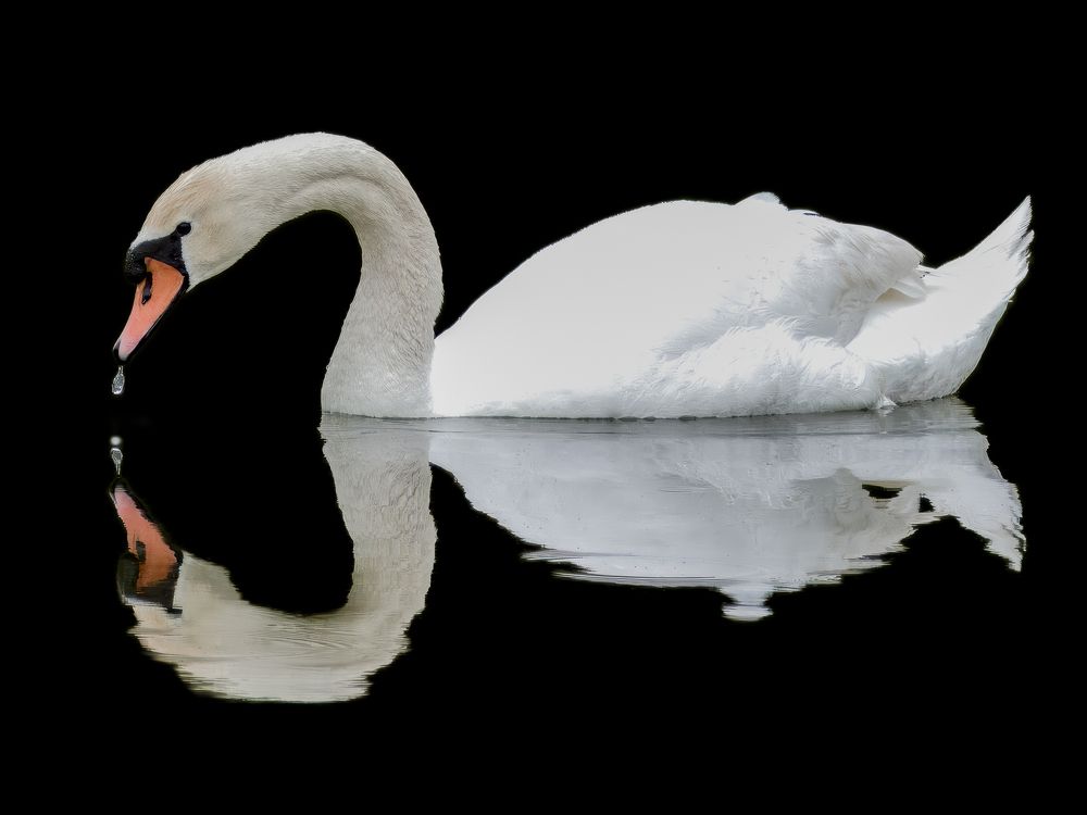 Photograph by Слави Котаров