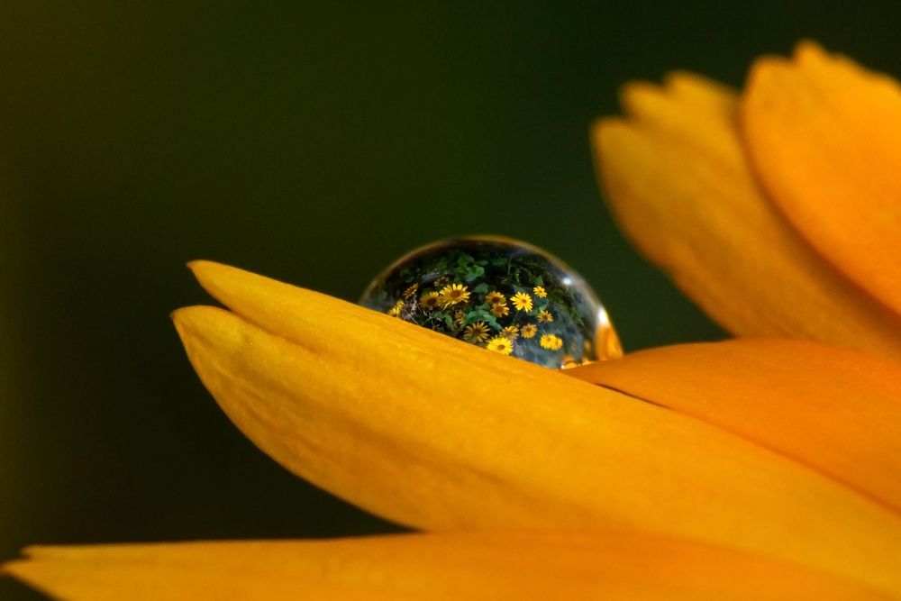 Photograph by Сергей