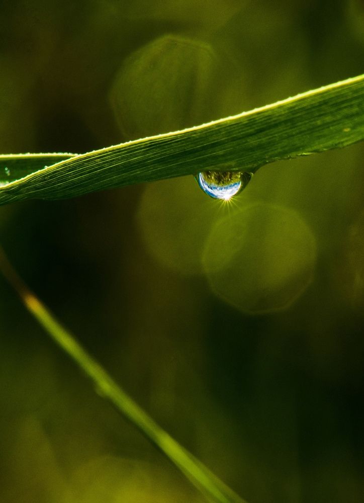 Фотография автора Алексей Хаммер