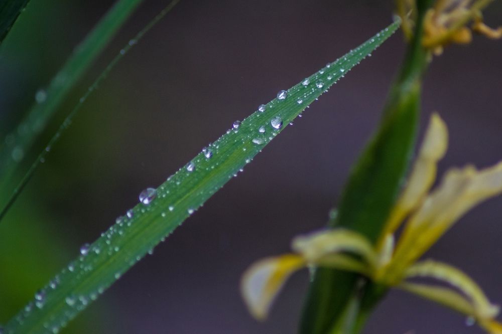 Фотография автора Алексей Хаммер
