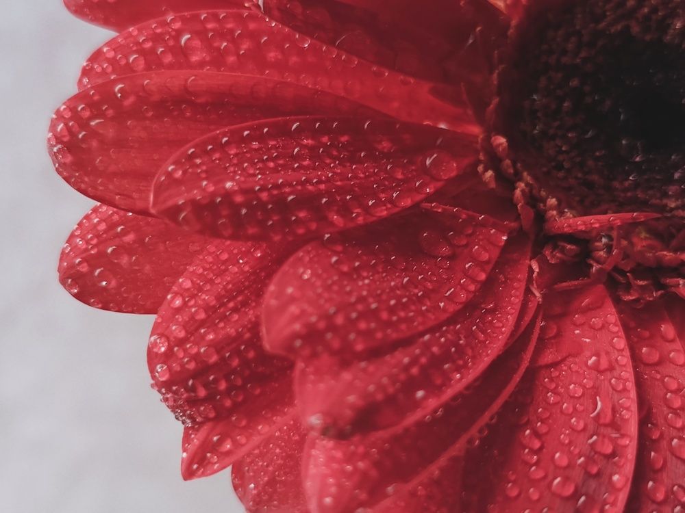 Photograph by Александра Ламанова