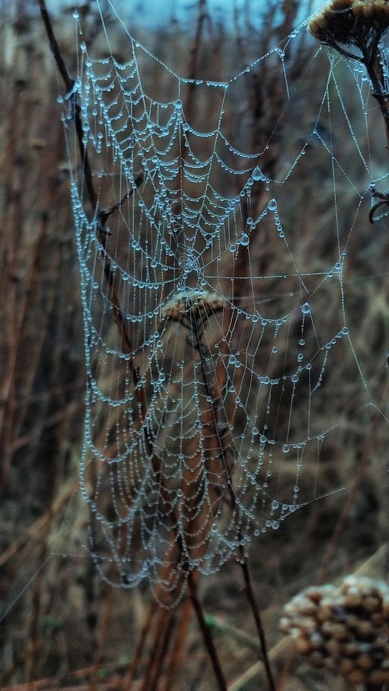 Photograph by Наталья Исиченко