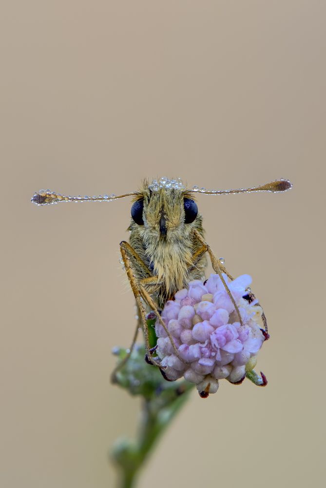 Photograph by Camilla Zocchi