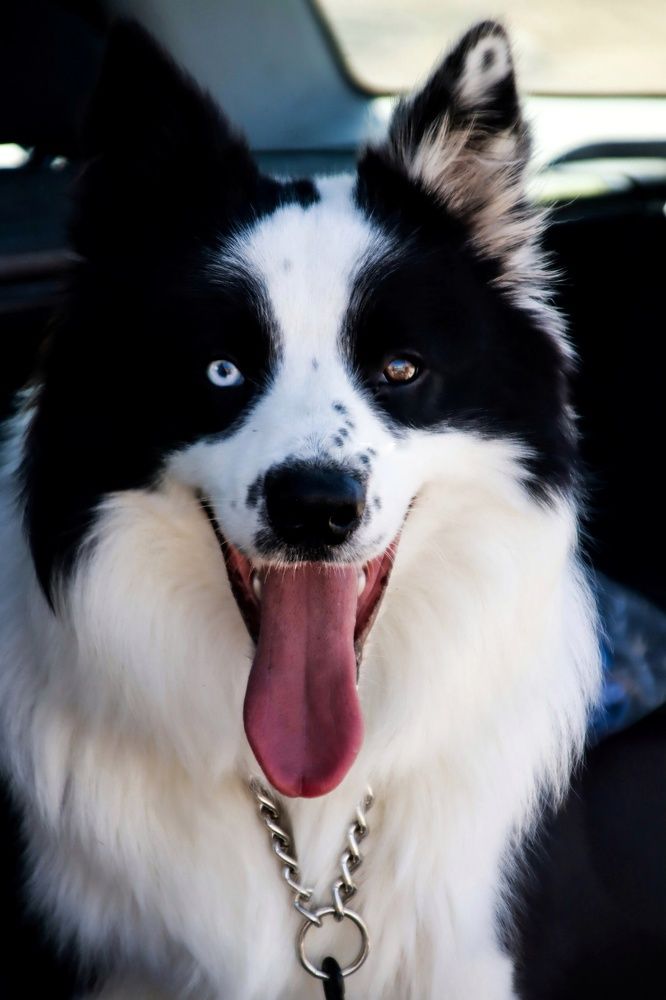 Фотография автора Olga Lavrenchuk