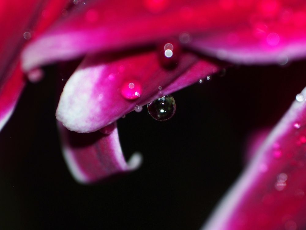 Photograph by Анастасия Доронкина