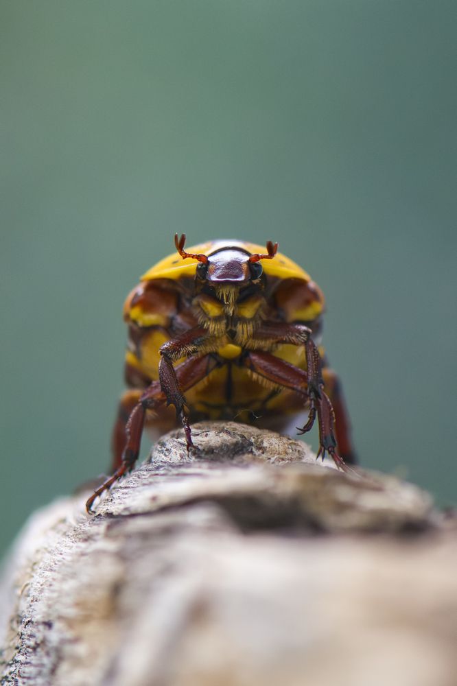 Photograph by Camilla Zocchi