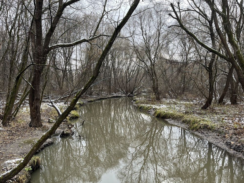 Фотография автора Мария Жданова