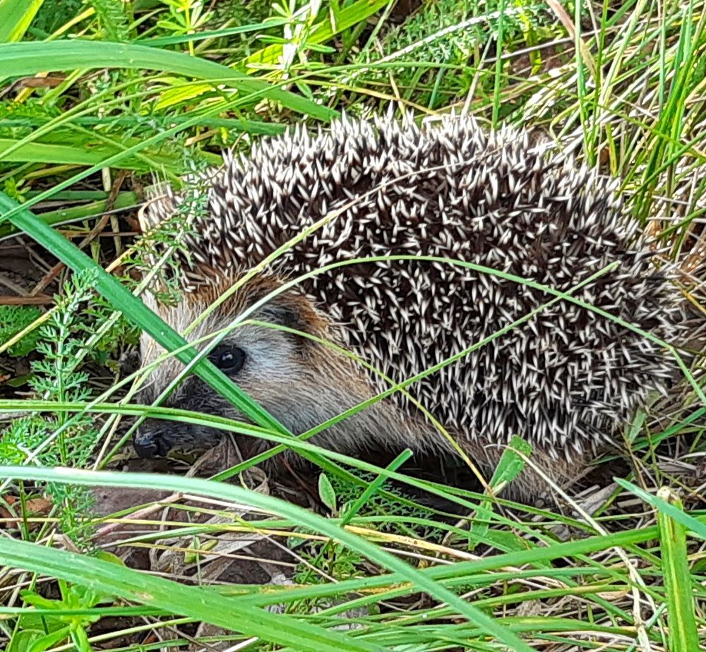 Photograph by Екатерина