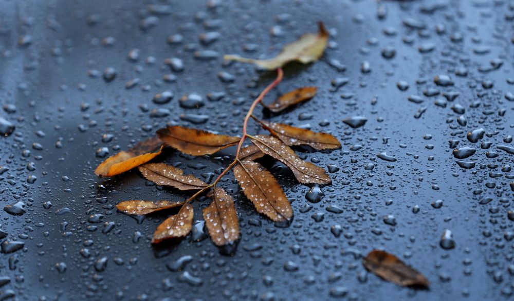 Photograph by Унку Юрий