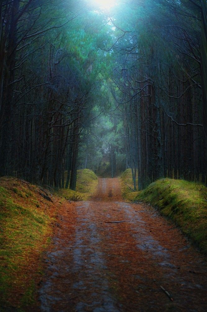 Photograph by Татьяна Максакова