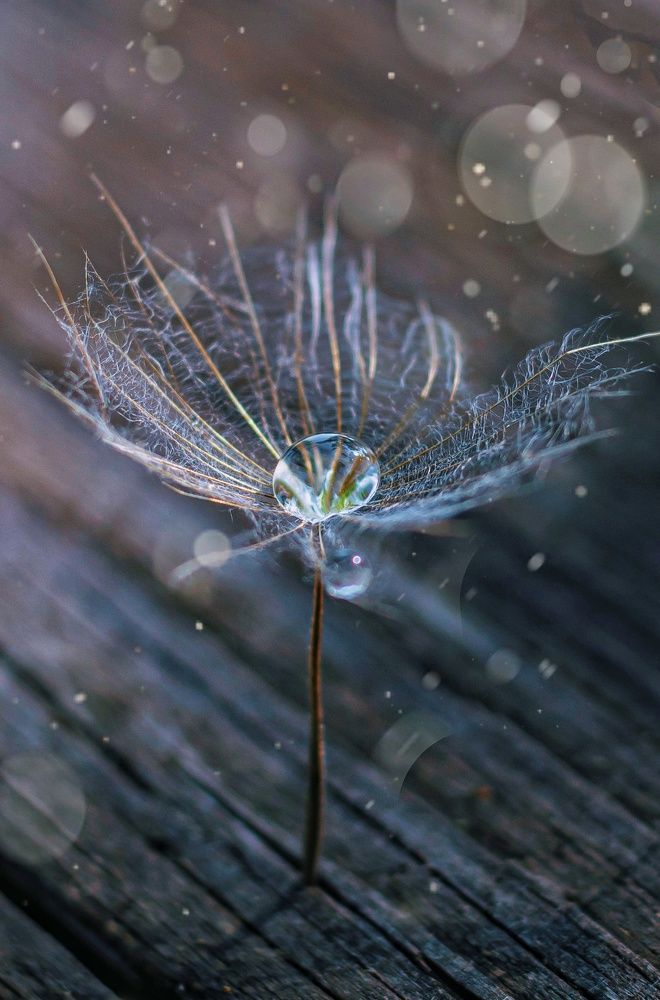 Photograph by Наталья Исиченко