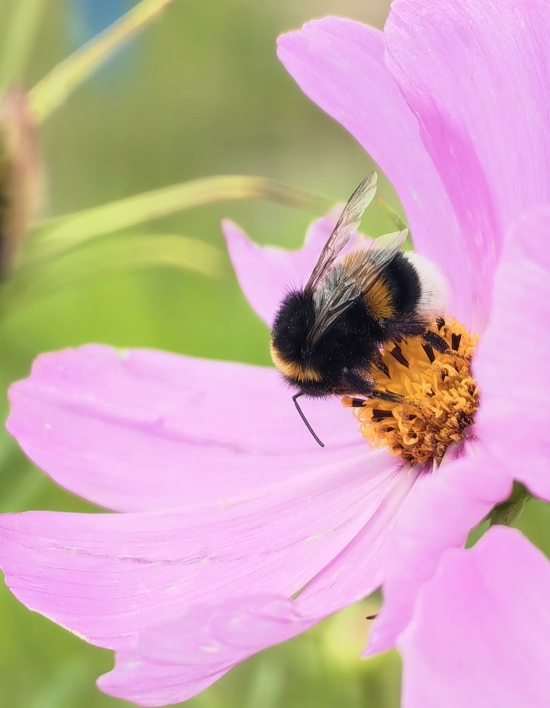 Photograph by Кристина Рыбина