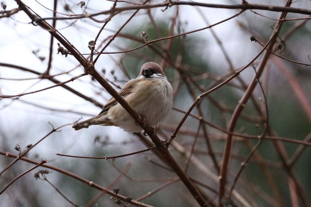 Фотография автора Pavel Cof