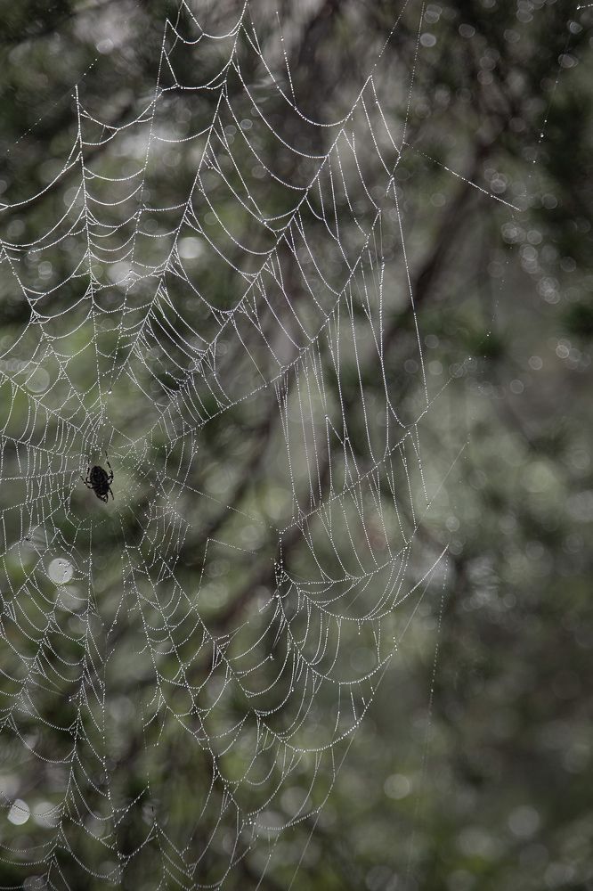 Photograph by Сагдиева Эльвира