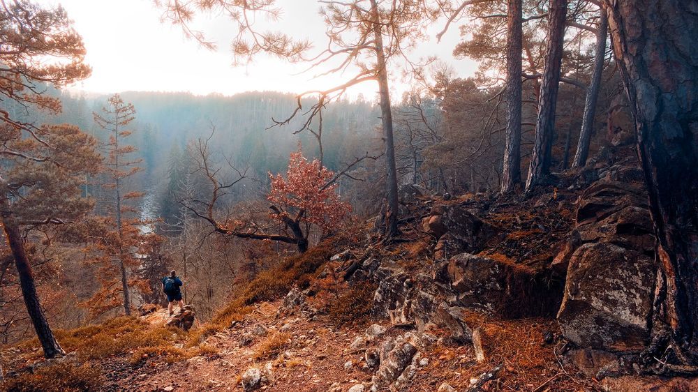 Photograph by Jan Musil