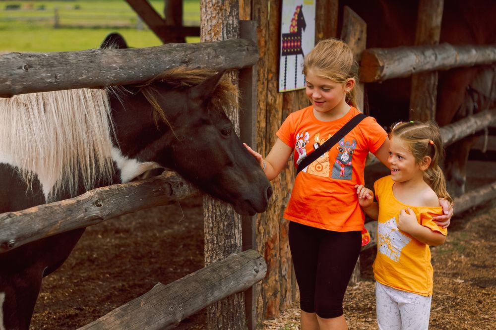 Photograph by Елена Лоцманова