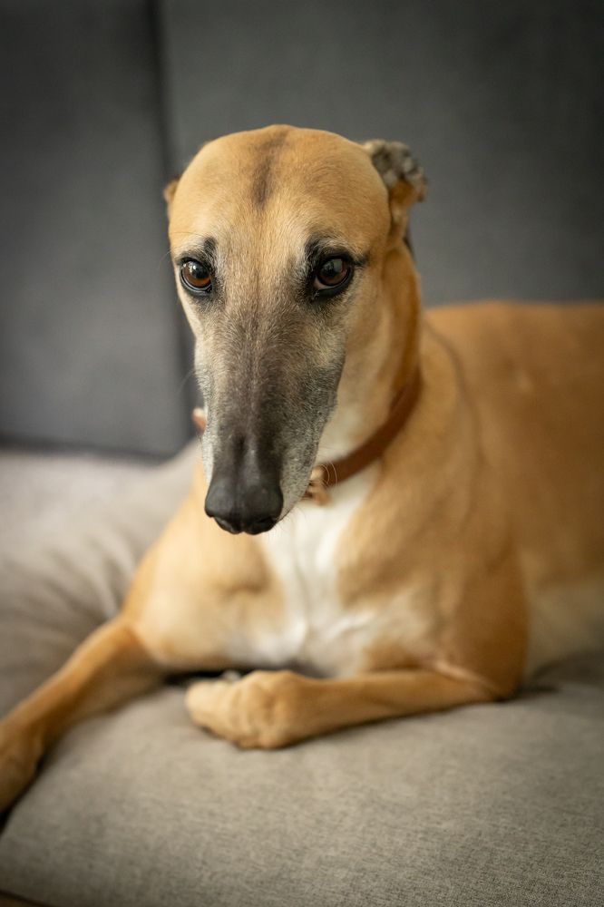 Фотография автора Borisova Natalia