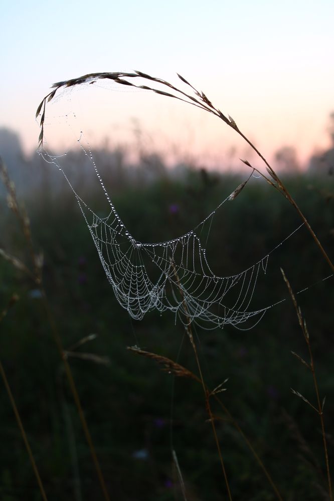Photograph by Светлана Шуткова