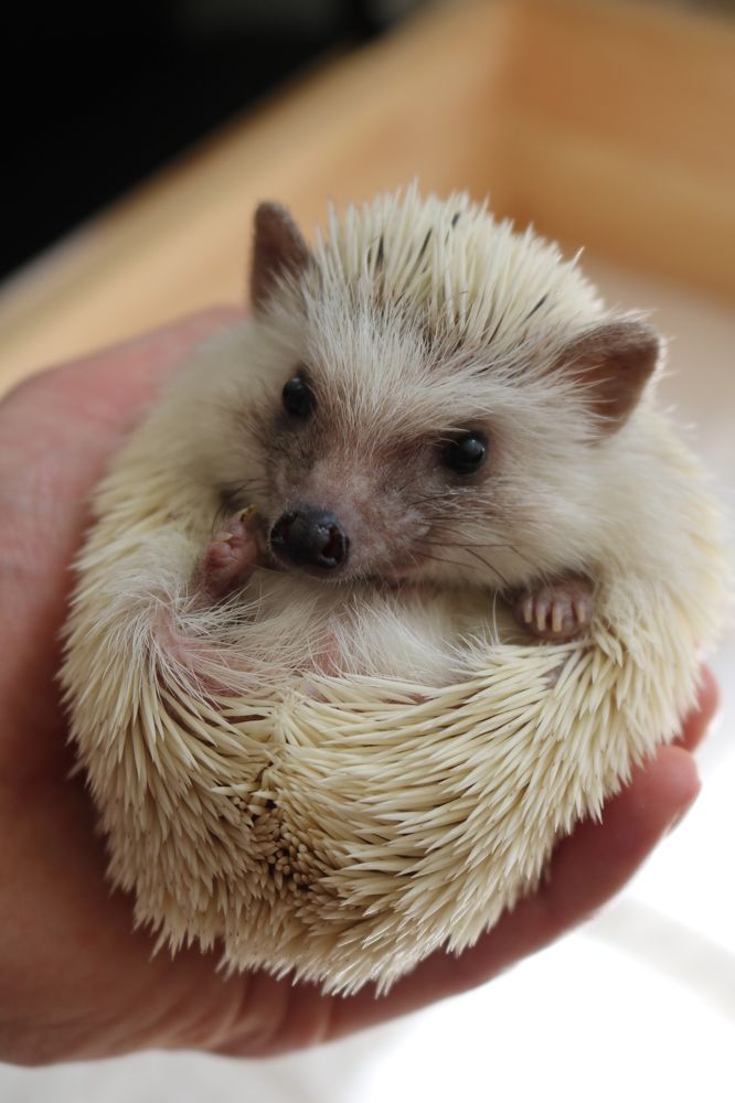 Photograph by Светлана Шуткова