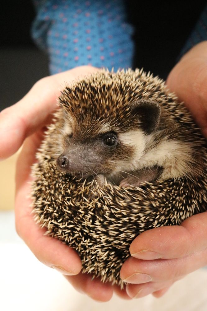 Photograph by Светлана Шуткова