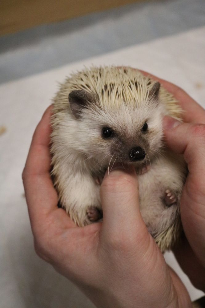 Photograph by Светлана Шуткова