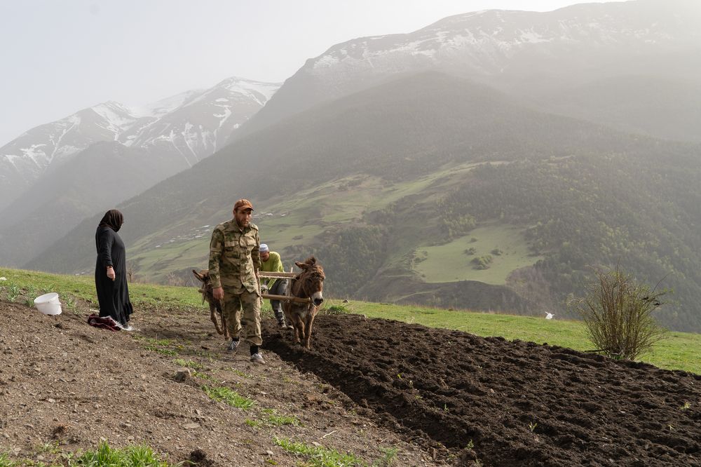 Photograph by Ковригина Евгения