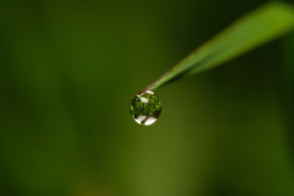 Фотография автора Роман Васильев