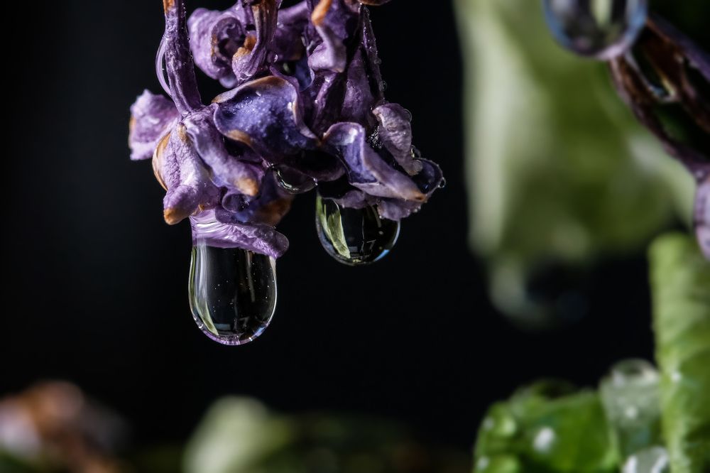 Фотография автора Роман Васильев