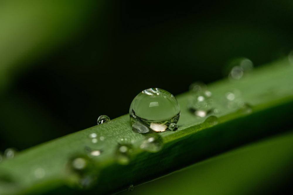 Фотография автора Роман Васильев
