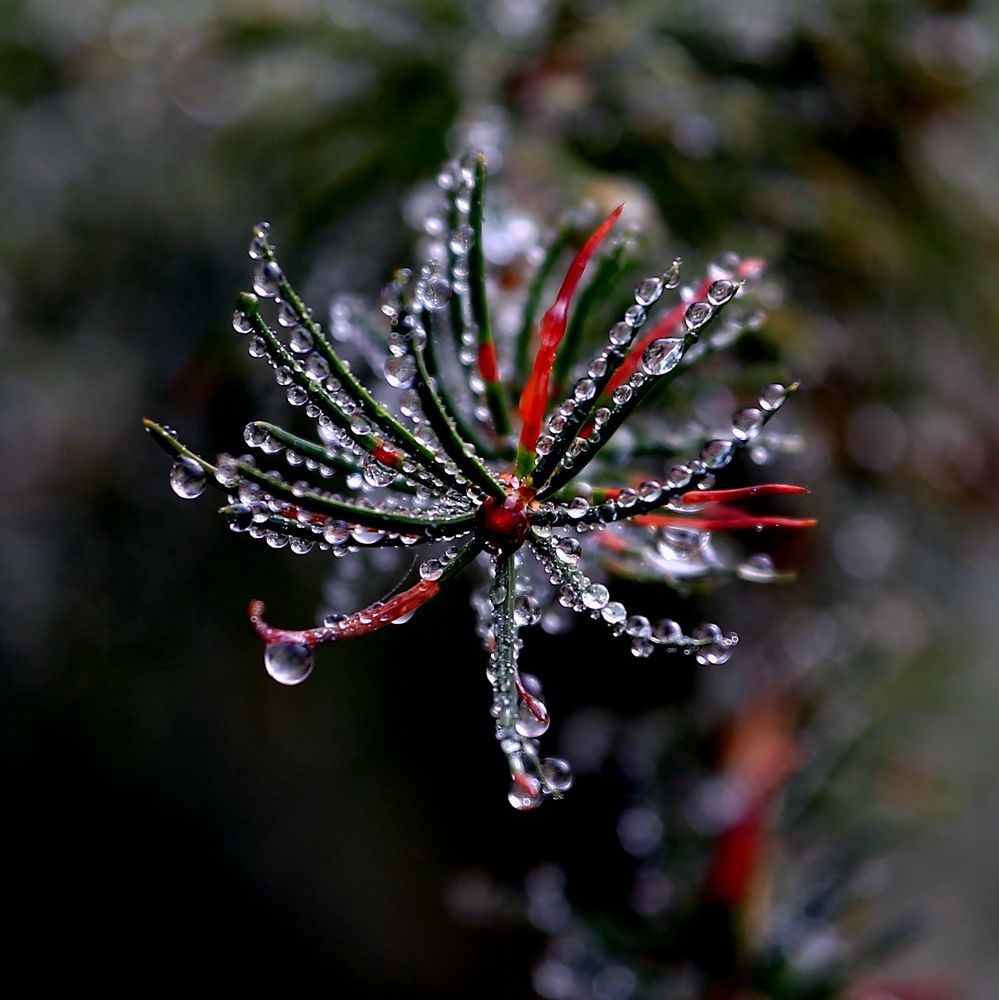 Photograph by Vladislav Kaplun