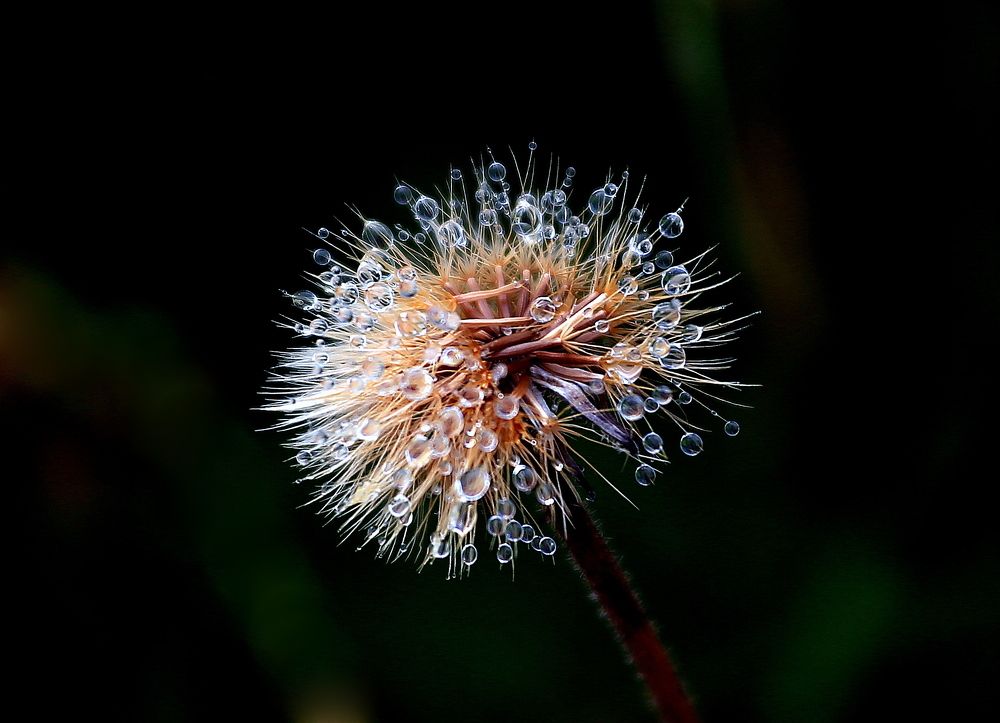 Photograph by Vladislav Kaplun
