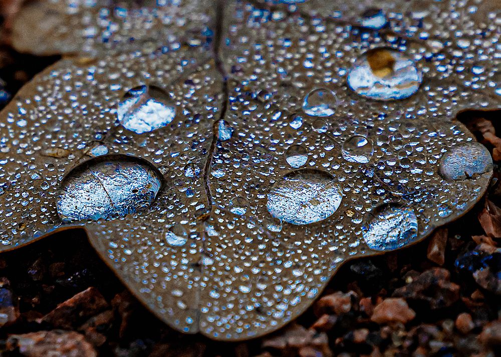 Photograph by Евгений Гонтов