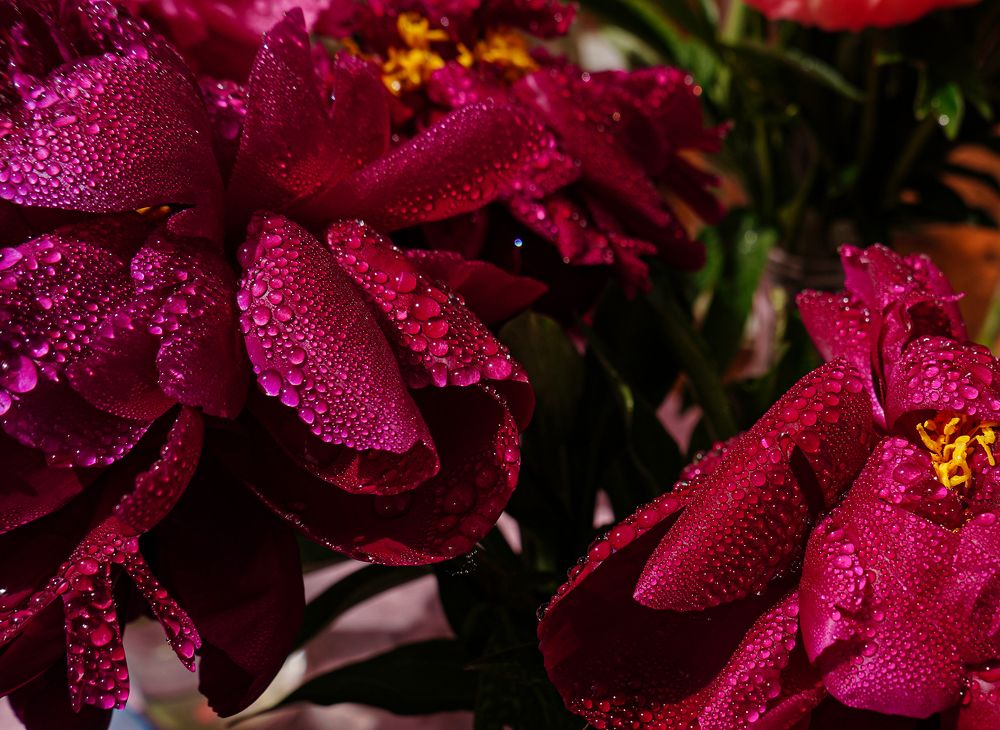 Photograph by Евгений Гонтов