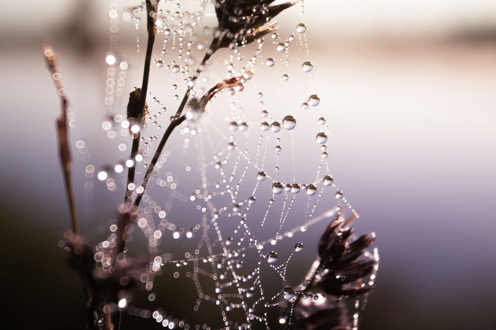 Photograph by Анастасия Кобелева