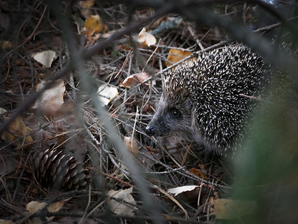 Photograph by Сергей Забиякин