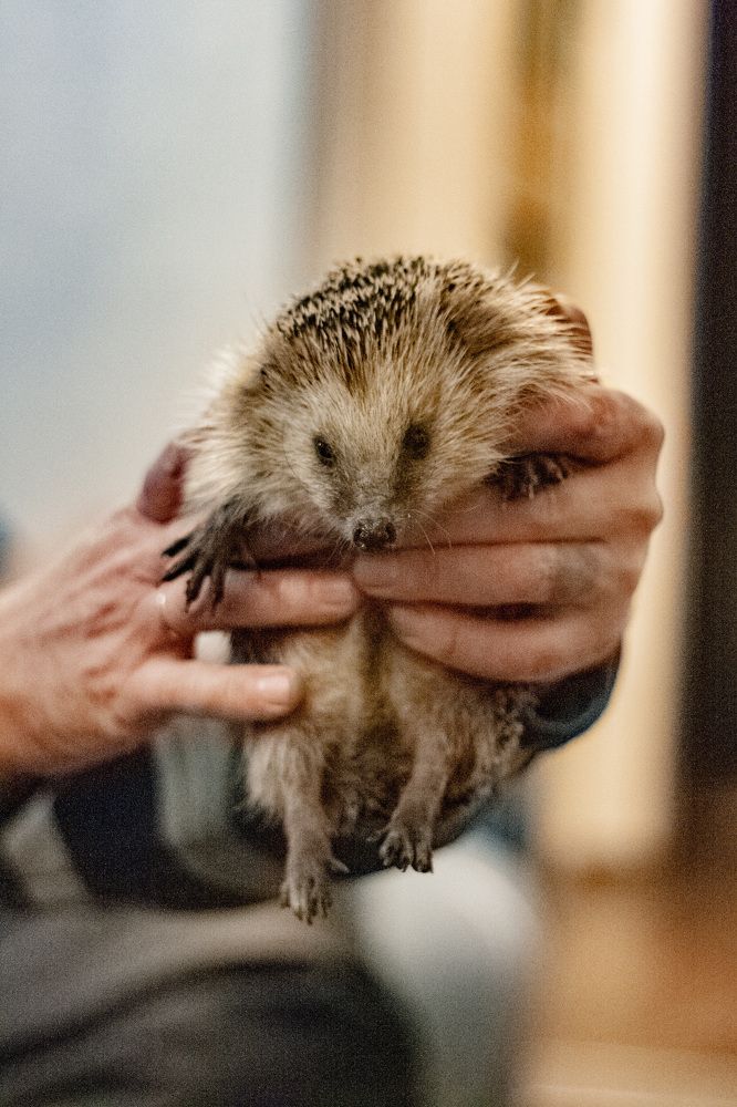 Photograph by Анастасия Кобелева