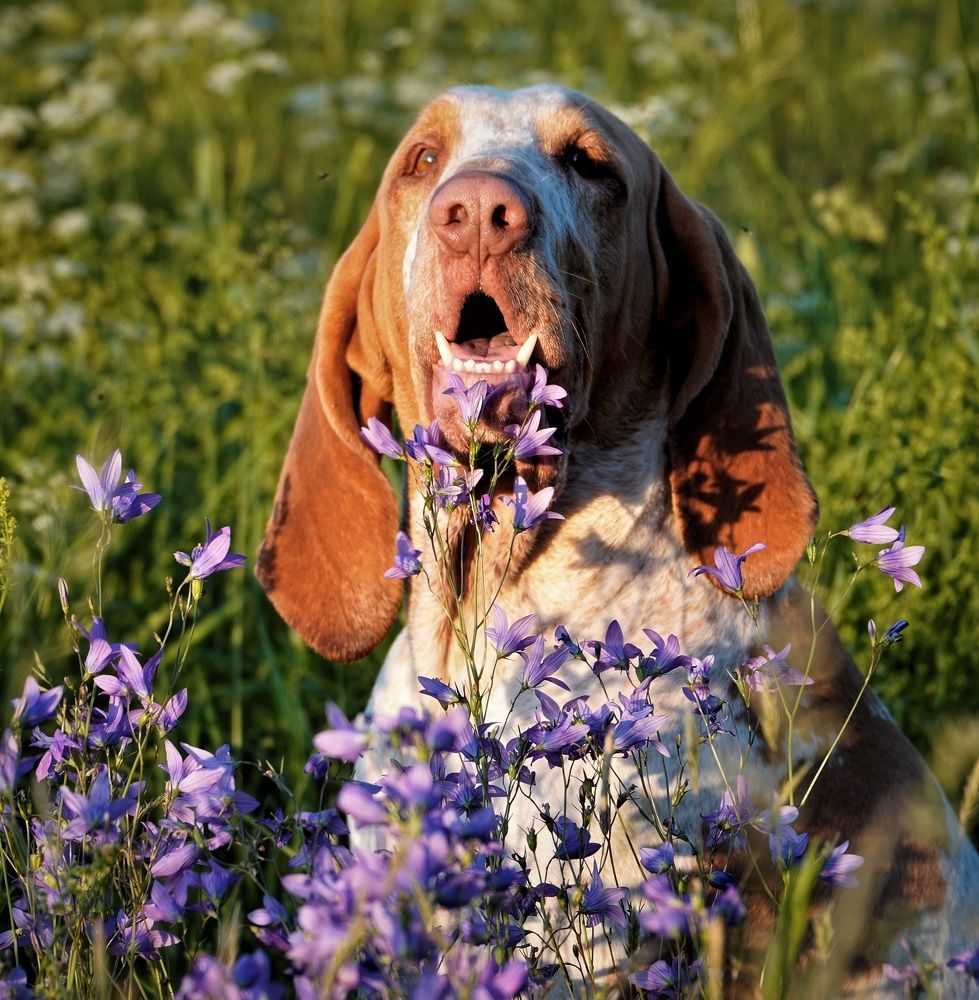 Photograph by Марина Безенкина