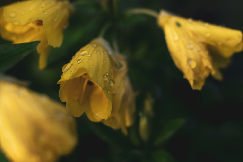 Фотография автора Войнов Дмитрий