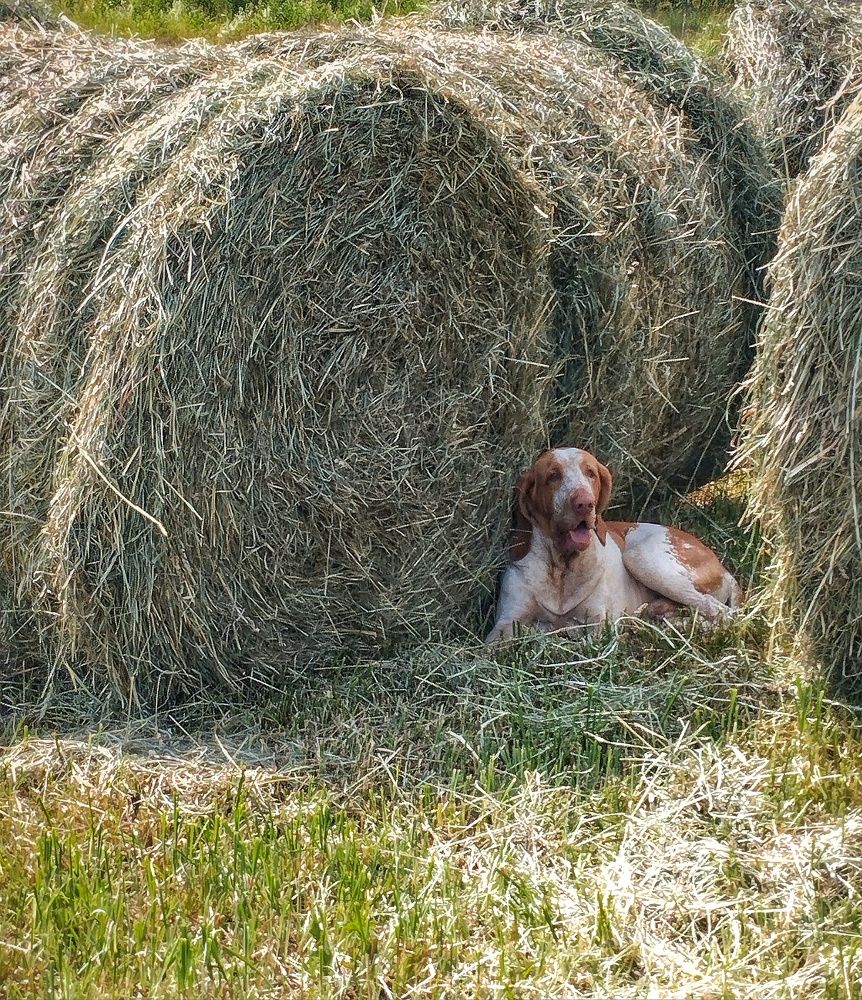 Photograph by Марина Безенкина