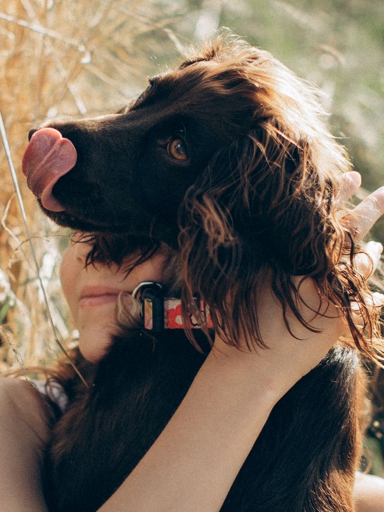 Photograph by Julia Pashkova