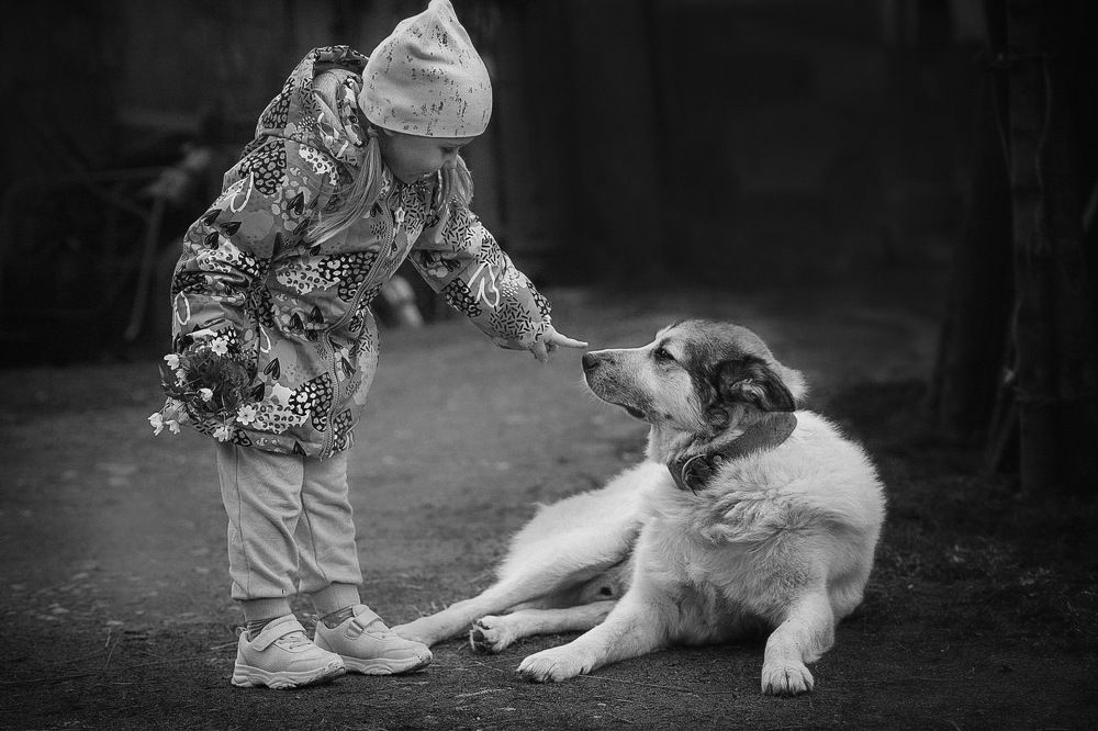 Photograph by Татьяна Шандромайло