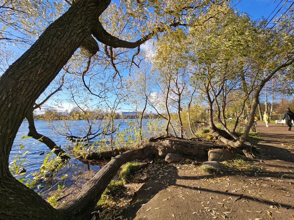 Photograph by Галина Левина