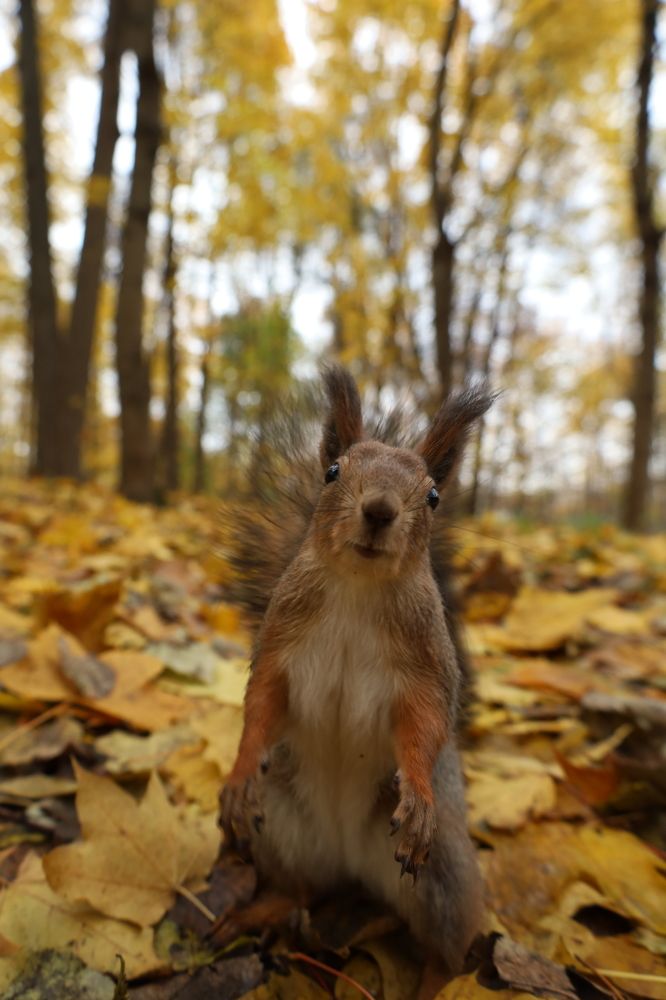 Фотография автора Pavel Cof