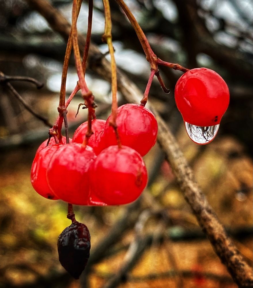 Photograph by Наталья Тарабычина