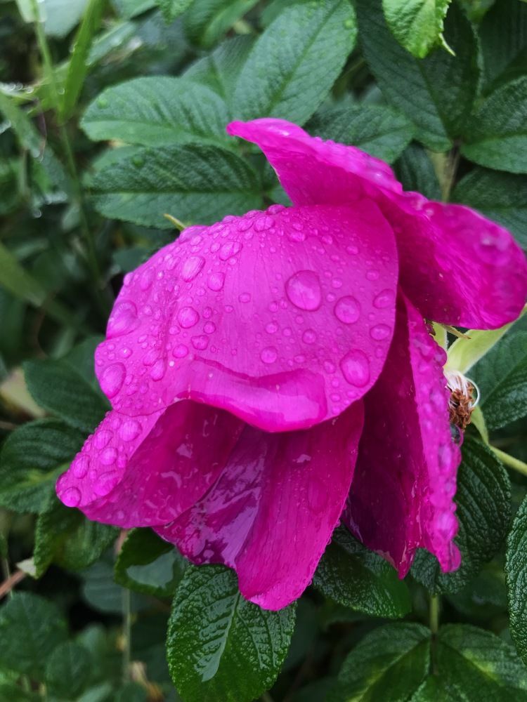 Photograph by Наталья Тарабычина