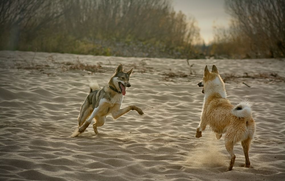 Photograph by Юрий Митенёв