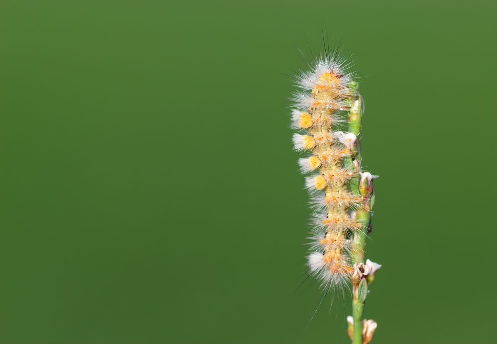 Photograph by Neslihan Taylan Tülbentci