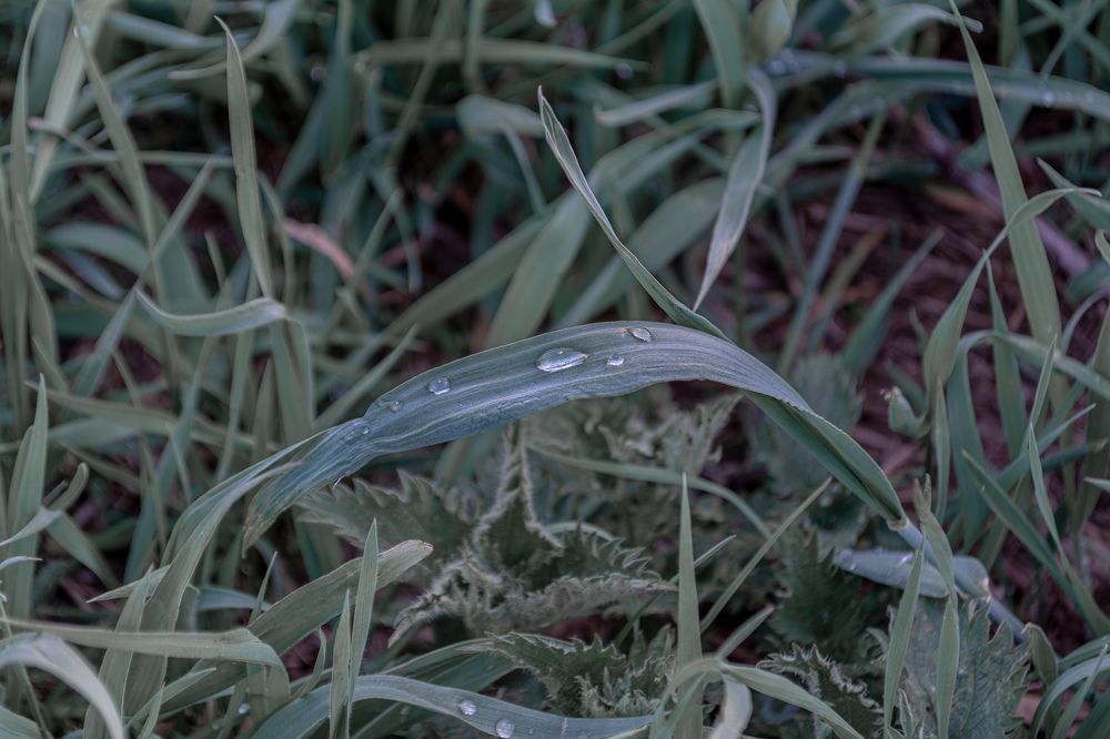 Photograph by Глеб Обуховский