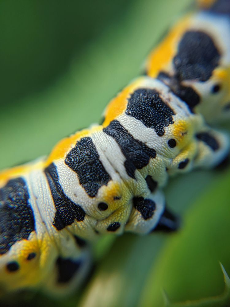 Photograph by Дудников Александр