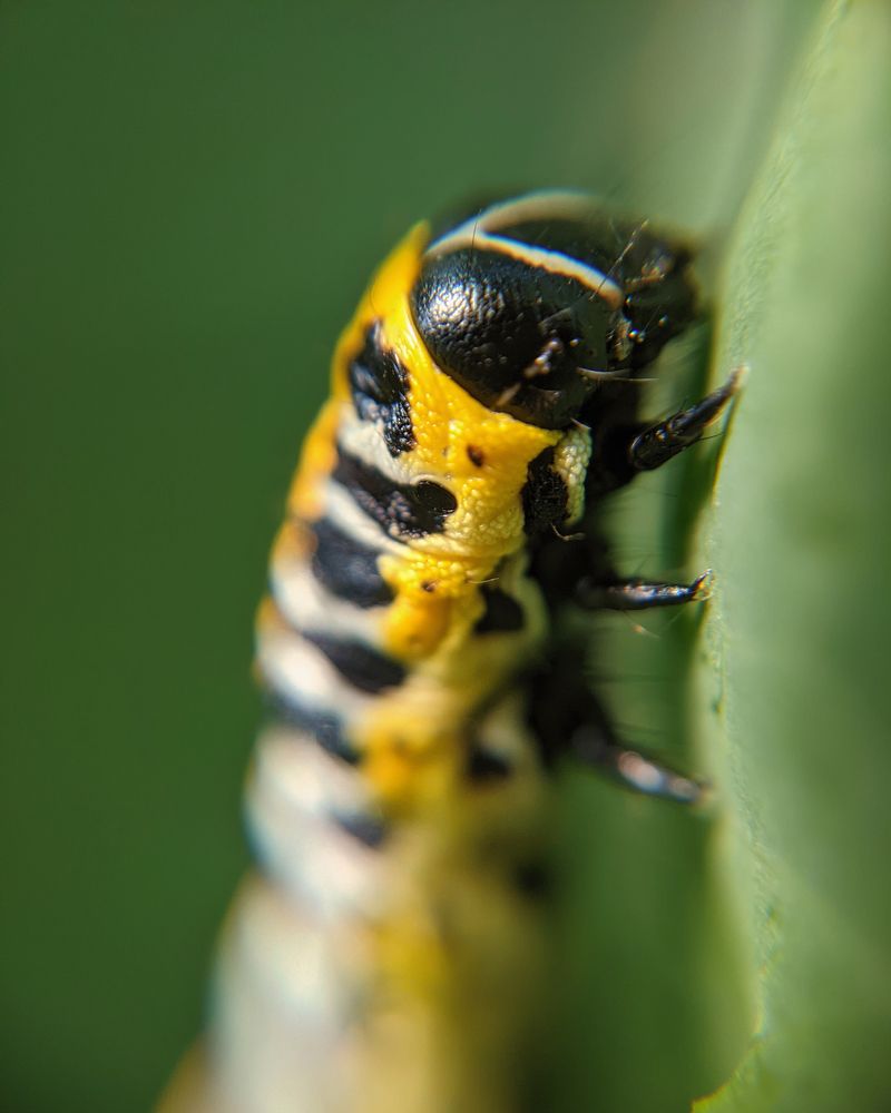 Photograph by Дудников Александр